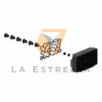foto-chica