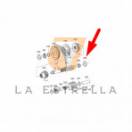 foto-chica